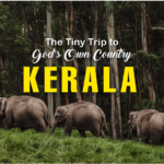 Kerala-The-Tiny-Trip-to-God’s-Own-Country