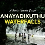 Anayadikuthu-waterfalls