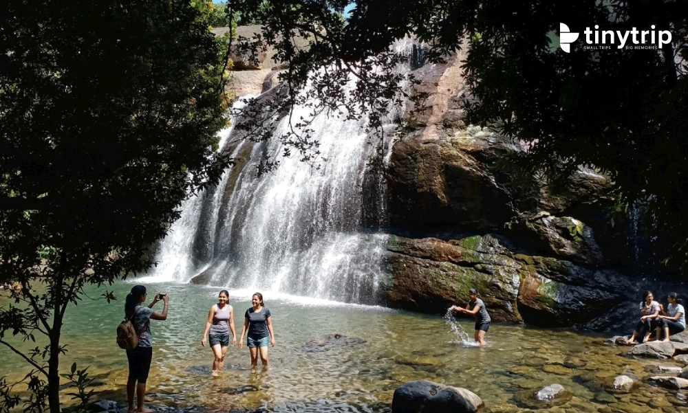Anayadikuthu waterfalls river view