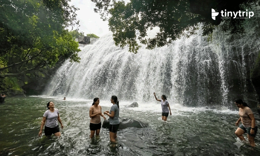 Anayadikuthu waterfalls river view