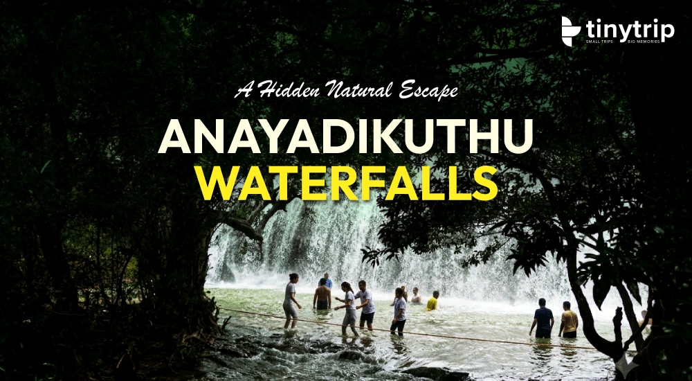 Anayadikuthu-waterfalls