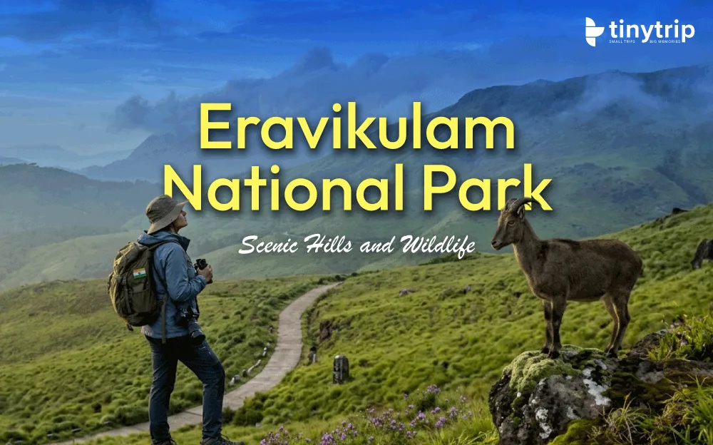 Eravikulam National Park