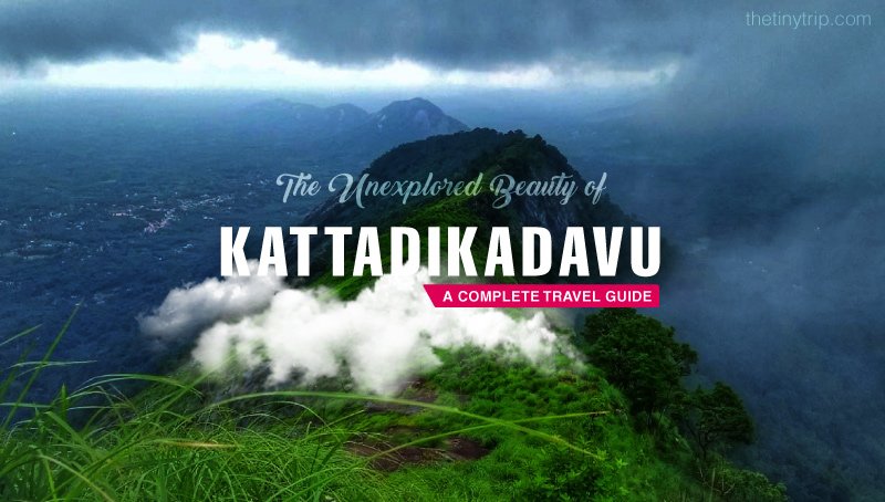 Kattadikkadavu view point