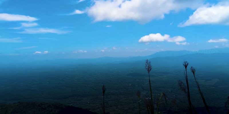 Kattadikadavu View point