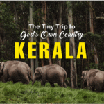 Kerala-Trip
