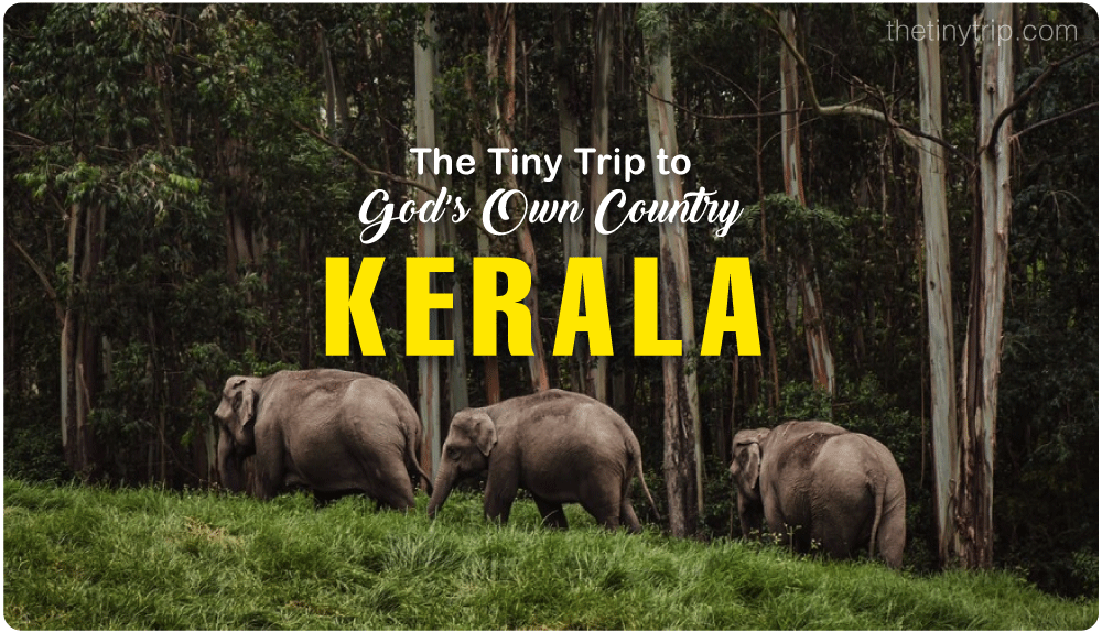 Kerala-Trip