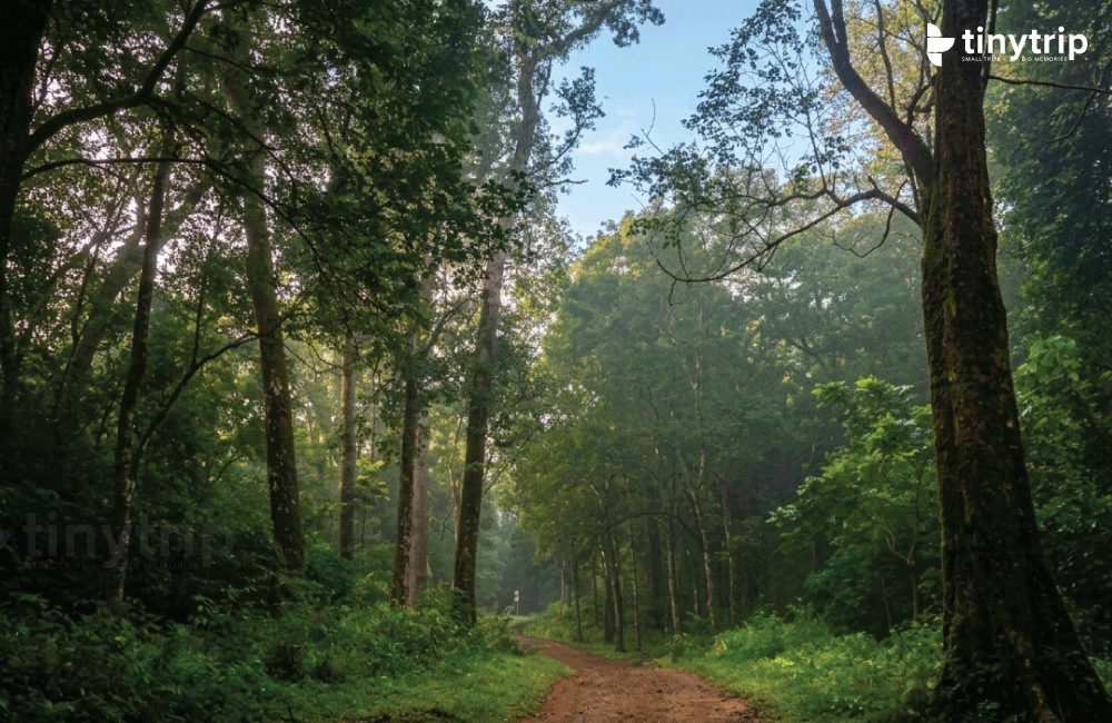Makkuvally idukki village