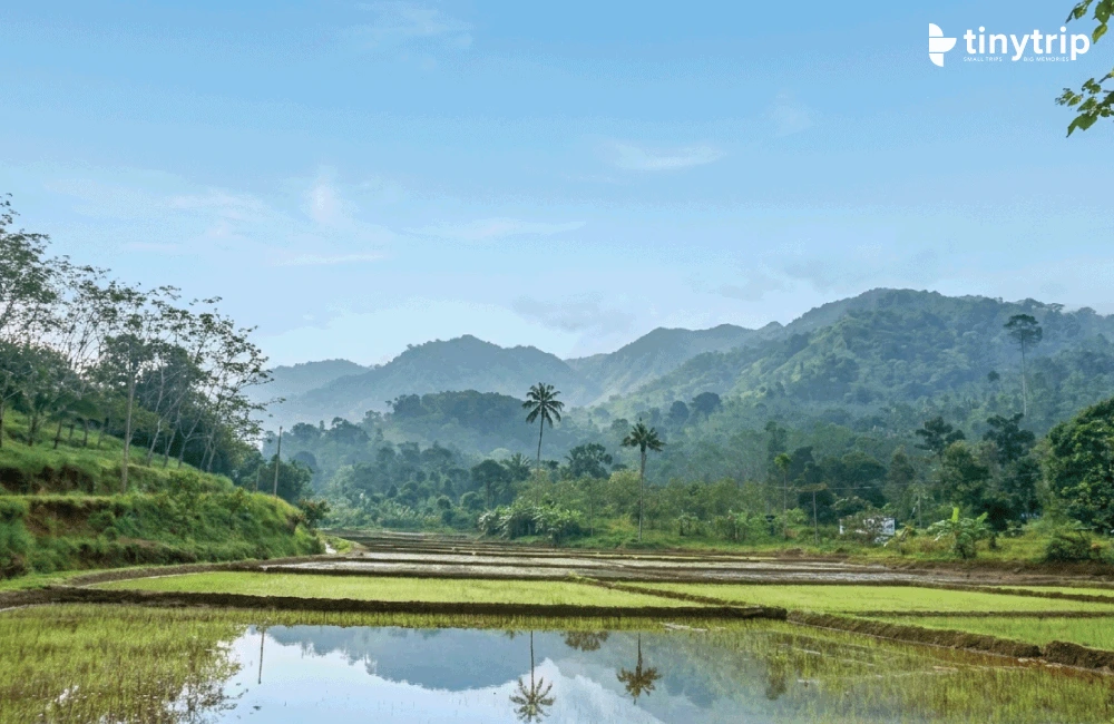 Makkuvally idukki