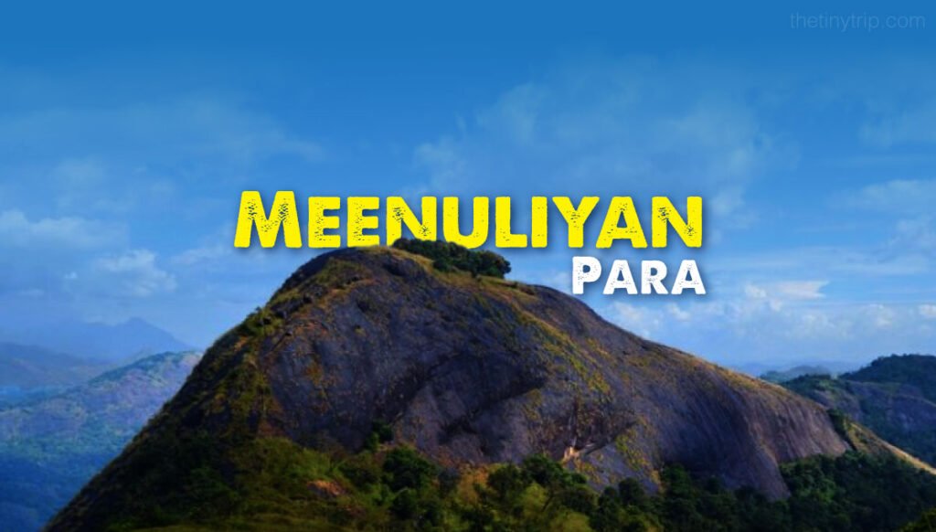 Meenuliyan-Para