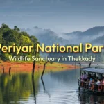 Periyar Tiger Reserve