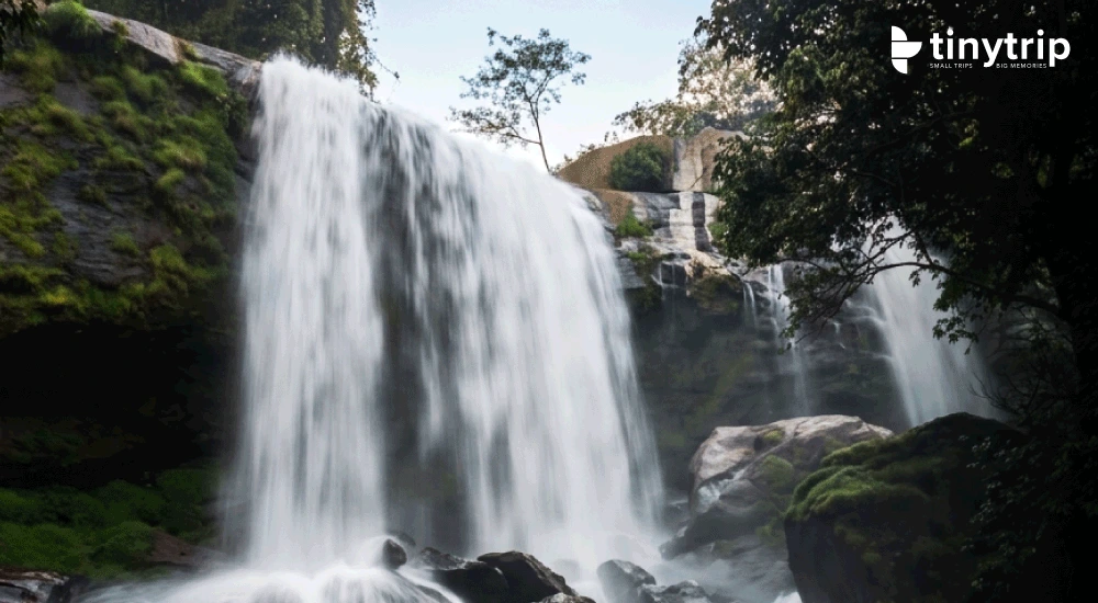 Punnayar Waterfalls