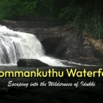Thommankuthu Waterfalls, Idukki – Complete Guide