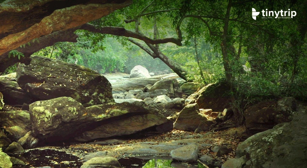Thommankuthu waterfalls river view