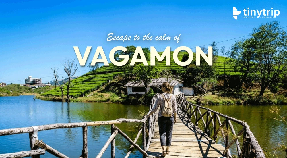 Vagamon-Lake-Image