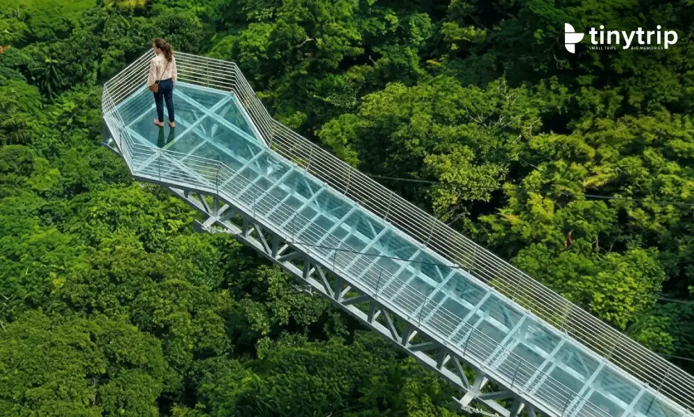 Vagamon-glass-bridge-image